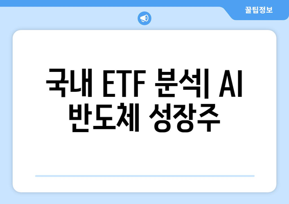 국내 ETF 분석| AI 반도체 성장주