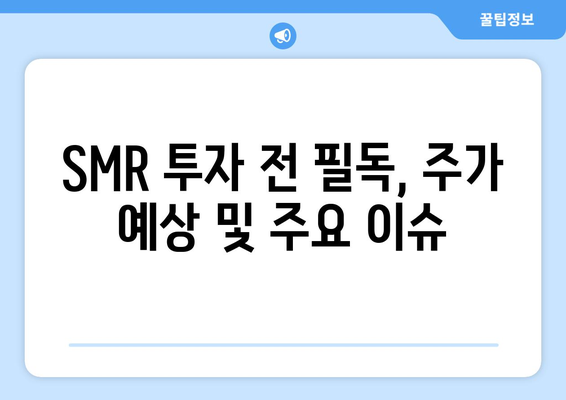 SMR 투자 전 필독, 주가 예상 및 주요 이슈