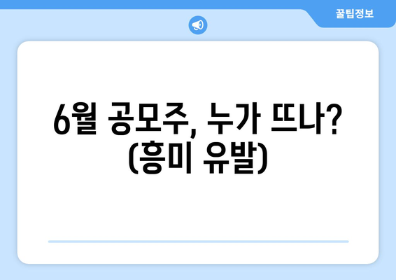 6월 공모주, 누가 뜨나? (흥미 유발)