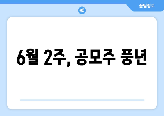 6월 2주, 공모주 풍년