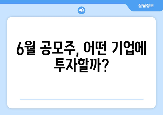 6월 공모주, 어떤 기업에 투자할까?