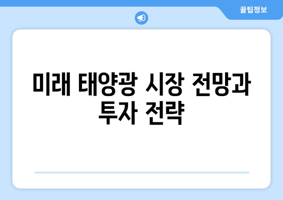 미래 태양광 시장 전망과 투자 전략