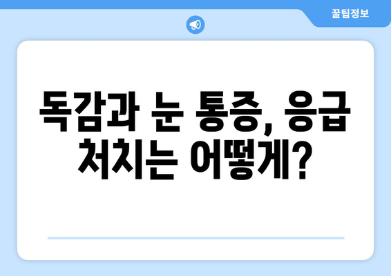 독감과 눈통증| 응급 상황을 알아야 할 때 | 독감 증상, 눈 통증, 응급처치, 의료 상담