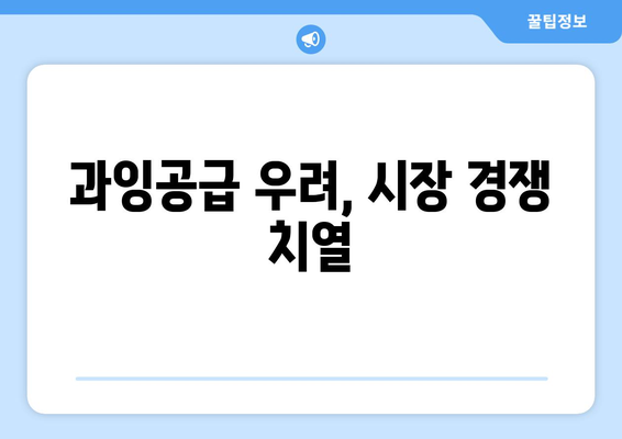 과잉공급 우려, 시장 경쟁 치열