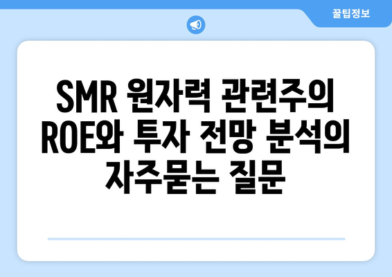 SMR 원자력 관련주의 ROE와 투자 전망 분석