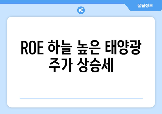 ROE 하늘 높은 태양광 주가 상승세