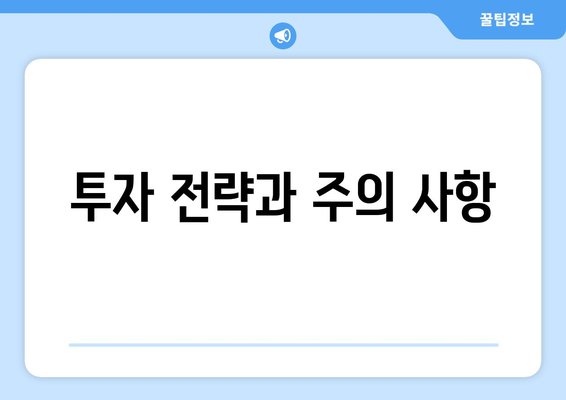 투자 전략과 주의 사항