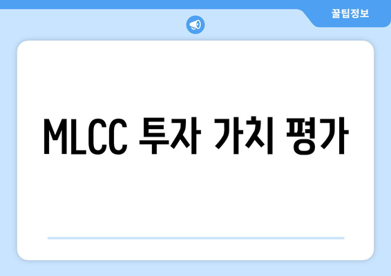 MLCC 투자 가치 평가