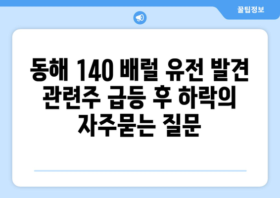 동해 140 배럴 유전 발견 관련주 급등 후 하락