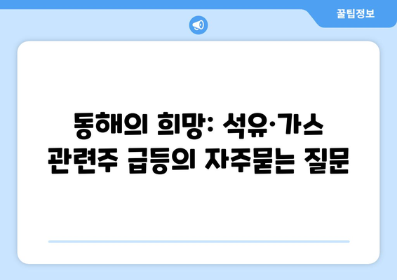 동해의 희망: 석유·가스 관련주 급등