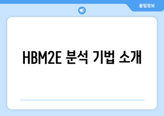 HBM2E 분석 기법 소개