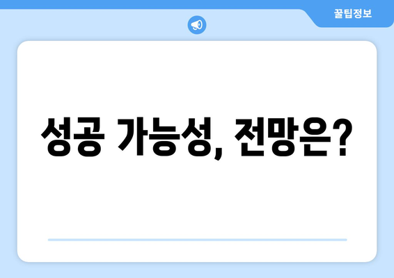 성공 가능성, 전망은?