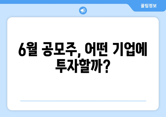 6월 공모주, 어떤 기업에 투자할까?