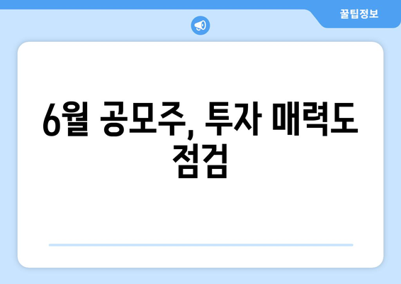 6월 공모주, 투자 매력도 점검