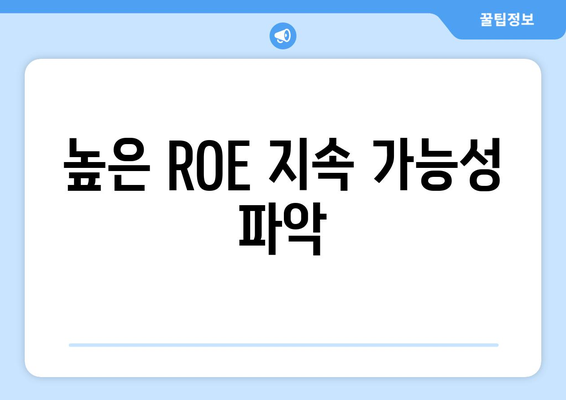 높은 ROE 지속 가능성 파악