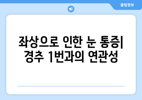 경추 1번 통증과 좌상 눈통증, 동반 증상| 원인과 증상, 치료 및 예방 | 목 통증, 두통, 눈 통증, 좌상, 경추 1번