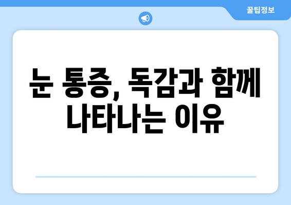 독감과 눈통증| 응급 상황을 알아야 할 때 | 독감 증상, 눈 통증, 응급처치, 의료 상담