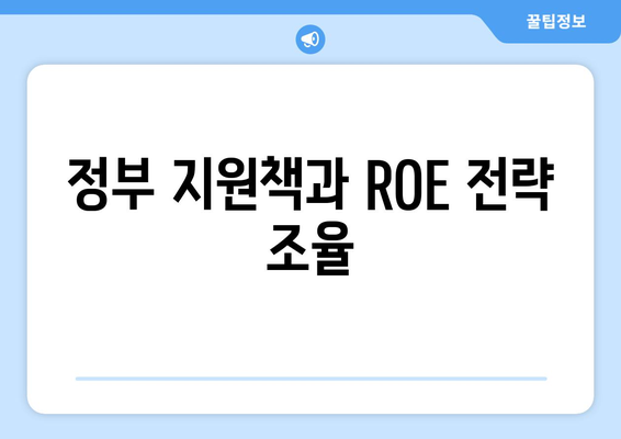 정부 지원책과 ROE 전략 조율