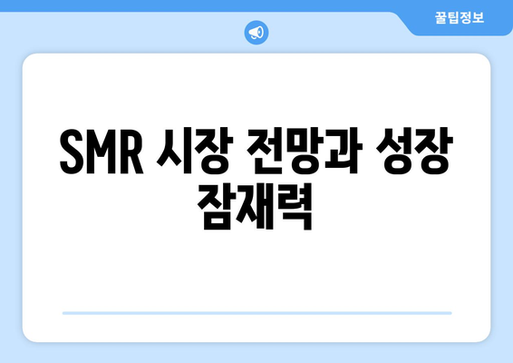 SMR 시장 전망과 성장 잠재력