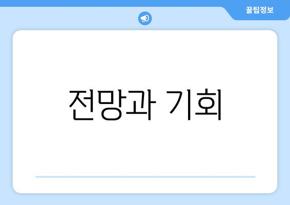 전망과 기회