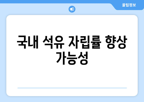 국내 석유 자립률 향상 가능성