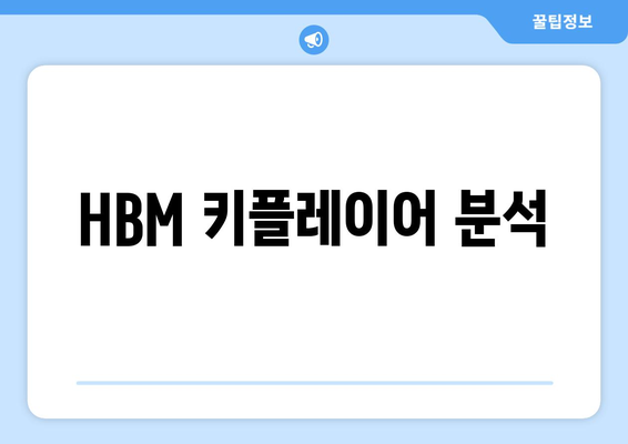 HBM 키플레이어 분석