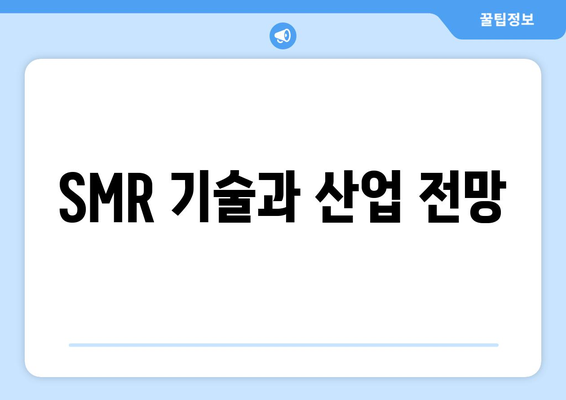 SMR 기술과 산업 전망