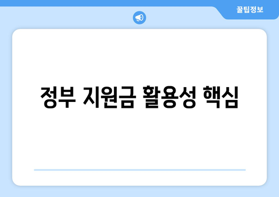 정부 지원금 활용성 핵심