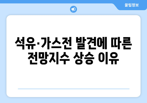 석유·가스전 발견에 따른 전망지수 상승 이유