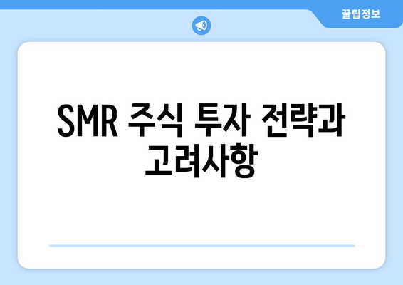 SMR 주식 투자 전략과 고려사항