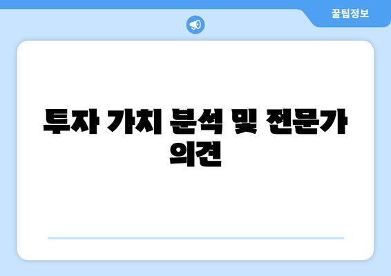 투자 가치 분석 및 전문가 의견