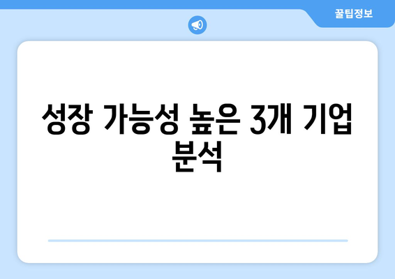 성장 가능성 높은 3개 기업 분석