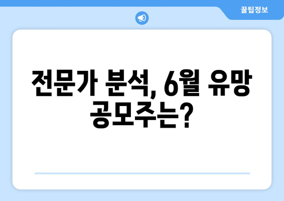 전문가 분석, 6월 유망 공모주는?