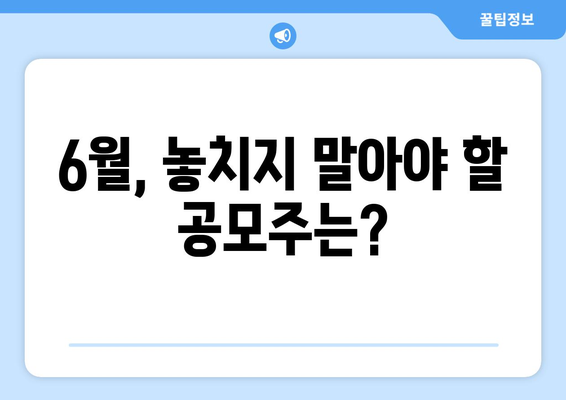 6월, 놓치지 말아야 할 공모주는?