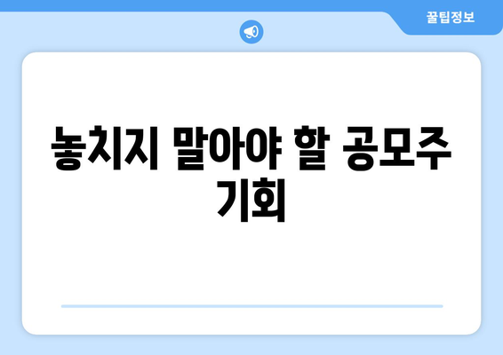 놓치지 말아야 할 공모주 기회