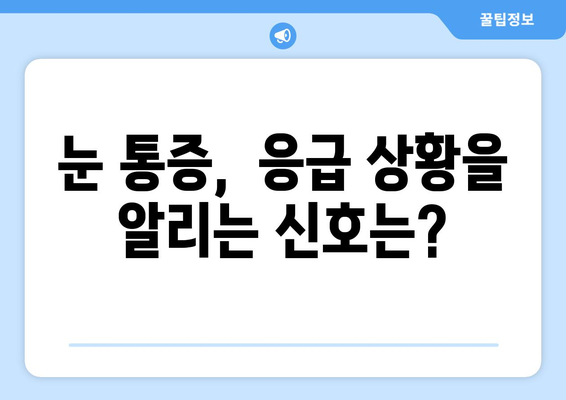 갑자기 나타나는 눈 통증, 병원 가야 하나? | 눈 통증 원인, 증상, 진료 시기, 응급 상황