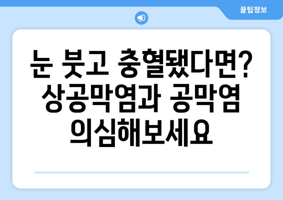 눈염증, 상공막염과 공막염| 증상과 한방 치료 옵션 | 눈 건강, 한의학, 자연 치유