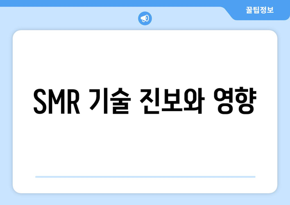 SMR 기술 진보와 영향