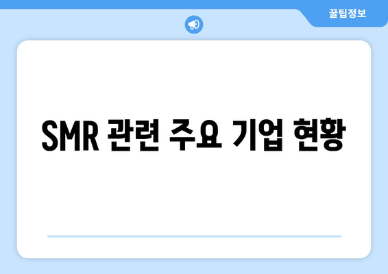 SMR 관련 주요 기업 현황