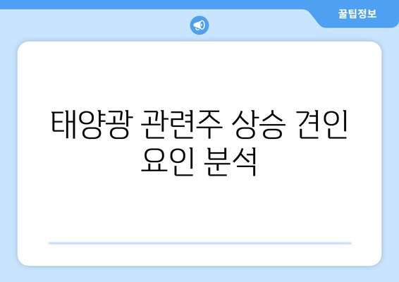 태양광 관련주 상승 견인 요인 분석