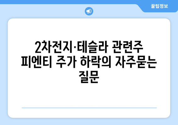 2차전지·테슬라 관련주 피엔티 주가 하락