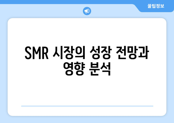 SMR 시장의 성장 전망과 영향 분석