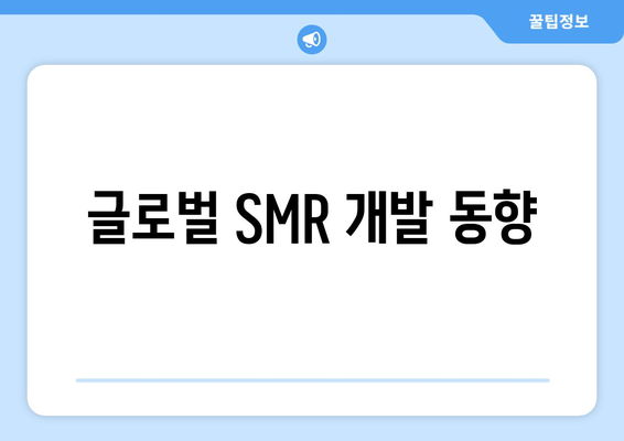 글로벌 SMR 개발 동향