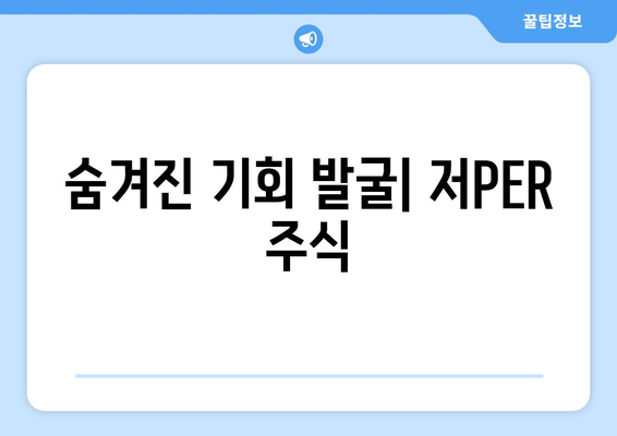 숨겨진 기회 발굴| 저PER 주식