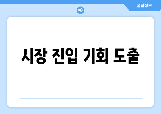 시장 진입 기회 도출