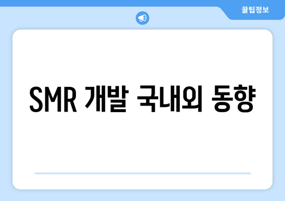 SMR 개발 국내외 동향