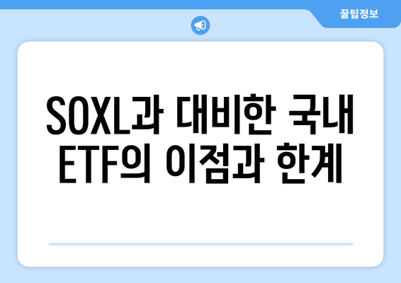 SOXL과 대비한 국내 ETF의 이점과 한계