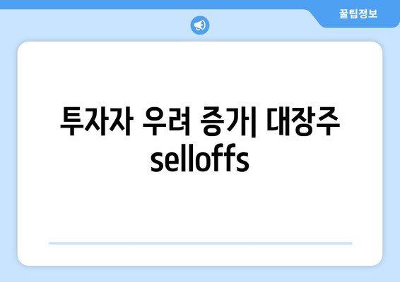 투자자 우려 증가| 대장주  selloffs