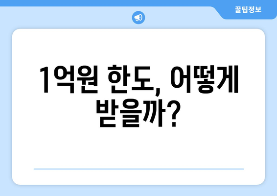 1억원 한도, 어떻게 받을까?