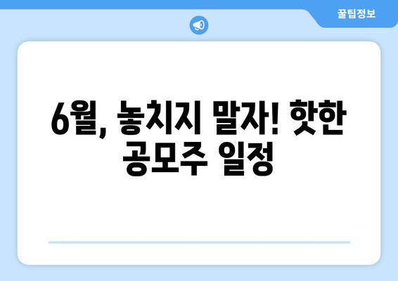 6월, 놓치지 말자! 핫한 공모주 일정